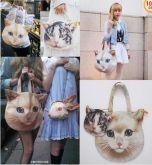 Bolsa de Gato