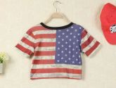 Cropped US Flag